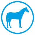 Vet-Praxis Reichinger: Pferde